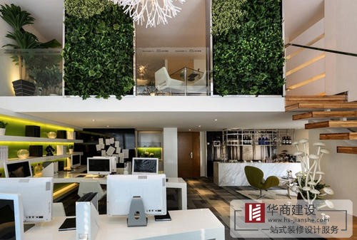 辦公室裝修中綠植是不可或缺的！為什么呢？